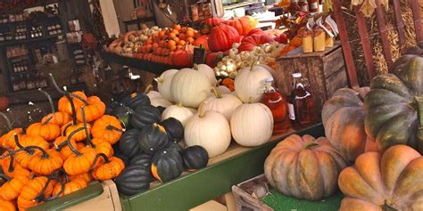 All the Bounty of Fall - Homestead Gardens, Inc. | Homestead Gardens, Inc.