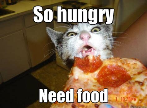 So hungry Need food - Pizza Cat - quickmeme