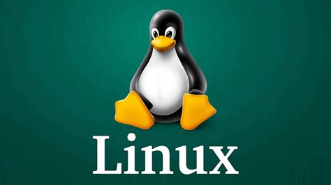 Why should you use Linux for your development and daily use purpose ...