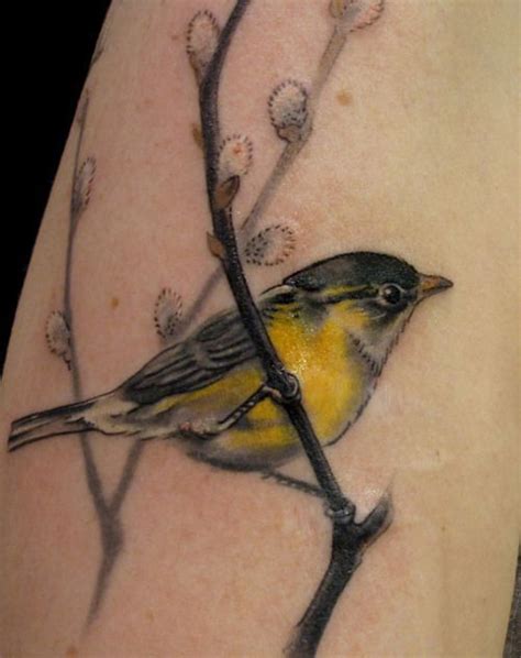 *I do not own the rights to this photo* Yellow finch tattoo | Yellow bird tattoo, Ink tattoo ...