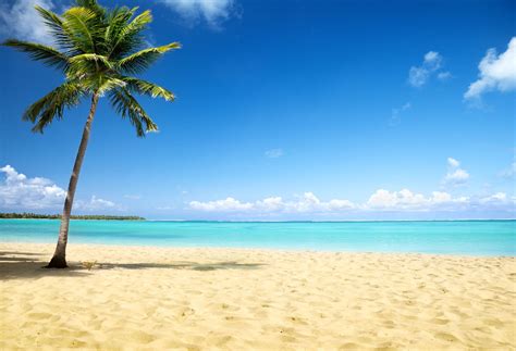 Season Backdrops Summer Backdrops Beach Backdrop Sky Backgrounds Blue ...