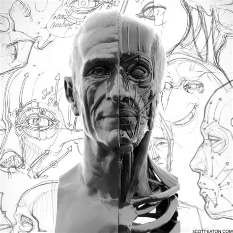 Portraiture & Facial Anatomy Online » Scott Eaton