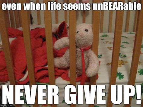 Image tagged in teddy,bear,original meme,meme,never give up,funny - Imgflip