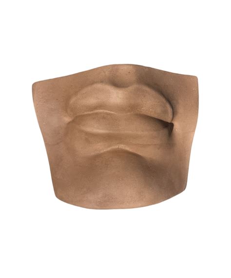 Just Sculpt Plaster Mouth Of David Brown - The Compleat Sculptor