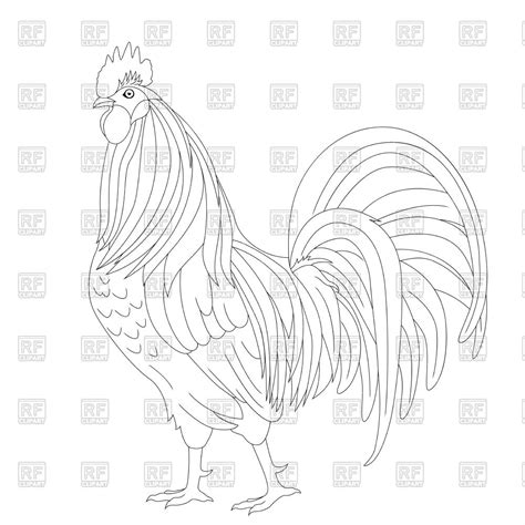 Rooster Outline Drawing at PaintingValley.com | Explore collection of Rooster Outline Drawing