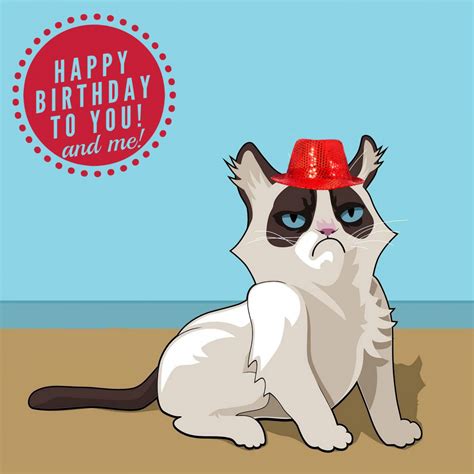 Happy Birthday Card Free Stock Photo - Public Domain Pictures