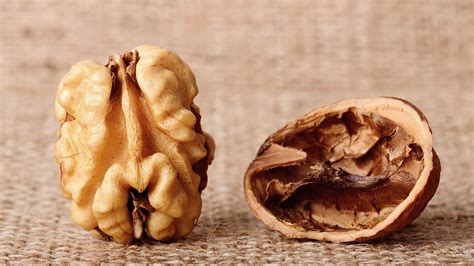 Walnut benefits: Study says it can help stressed college students | HealthShots