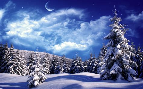 HD Winter Wonderland Wallpapers | Download Free - 377188