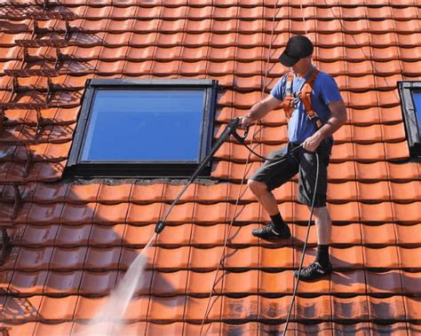 The 2023 Complete Guide to Roof Mold Removal | Oscar Roofing