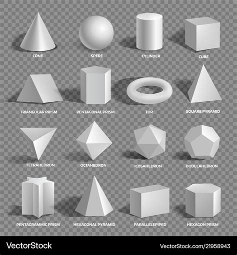 Basic 3d geometric shapes collection with names Vector Image