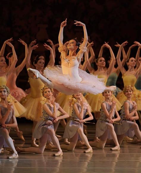 Don Quixote | Ballet: The Best Photographs