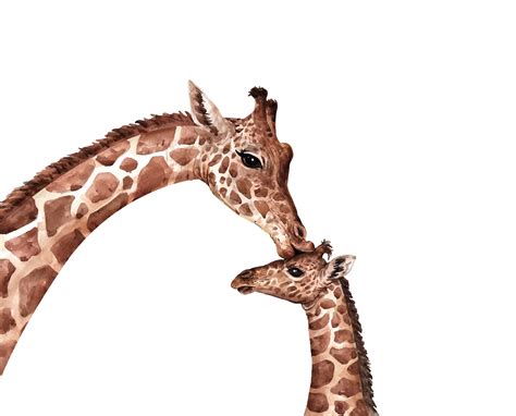 Mother and Child Giraffe - WallCurry