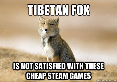 TIBETAN FOX IS NOT SATISFIED WITH THESE CHEAP STEAM GAMES - Tibetan Fox ...