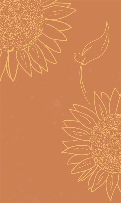 Download Peach Colored Sunflower Aesthetic Iphone Wallpaper ...