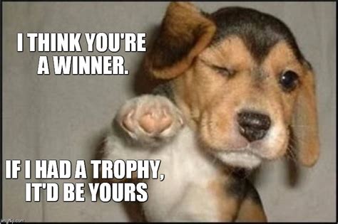 Image tagged in pups,inspirational,trophy,cute,cute puppies,winners - Imgflip