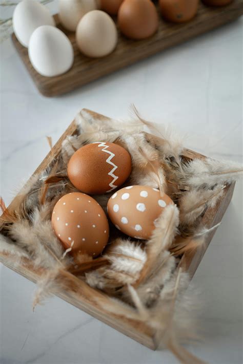 Chicken Eggs Photos, Download The BEST Free Chicken Eggs Stock Photos ...