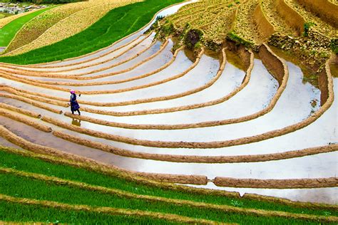 Smithsonian Magazine — Photo of the day: Rice terraces Photo by Giang...