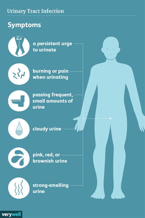 UTI in Men: Symptoms, Causes, Diagnosis, and Treatment