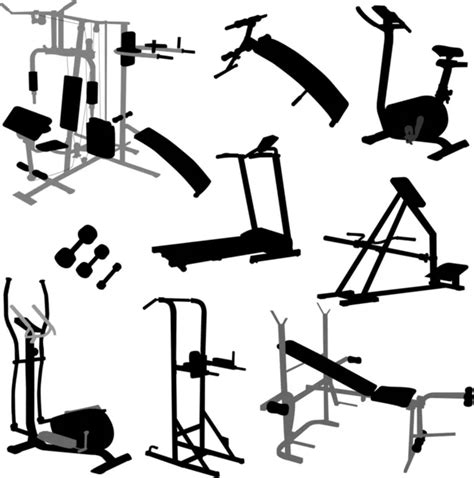 Gym equipment - vector — Stock Vector © olivera #9716055