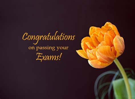 Congratulations for Passing Exam and Good Result | WishesMsg