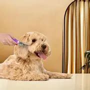 Pet Hair Lint Remover Manual Dog Grooming Massage Comb - Temu