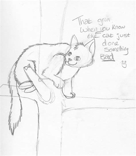 Cat in tree sketch by C1d1cy on DeviantArt