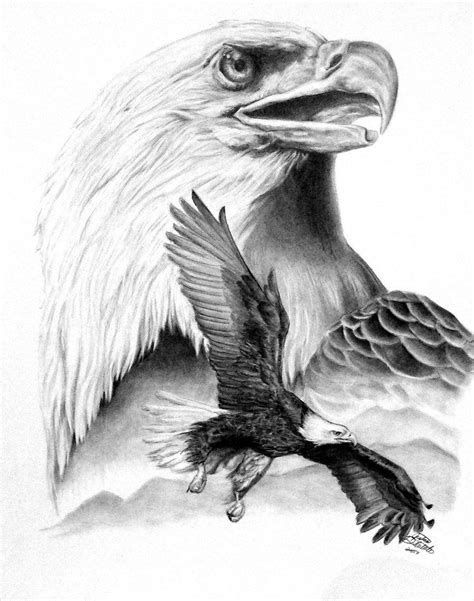 proud by freedomsparrow3 traditional art drawings animals 2007 2013 ... | Eagle drawing, Animal ...