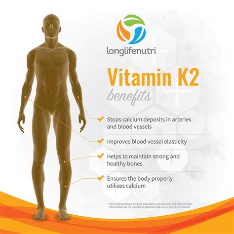 Vitamin K2 MK-7 100 Mcg - 120 Veggie Capsules – LongLifeNutri