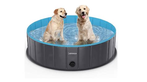 Best swimming pools for dogs: Puncture-proof and portable | PetsRadar