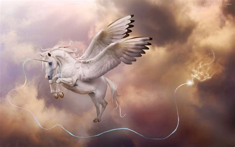 Pegasus unicorn wallpaper - Fantasy wallpapers - #38388