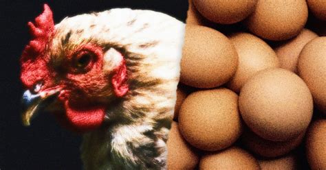 Biology's unsolved chicken-or-egg problem: Where did life come from ...