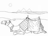 Desert Coloring Pages  Best For Kids sketch template
