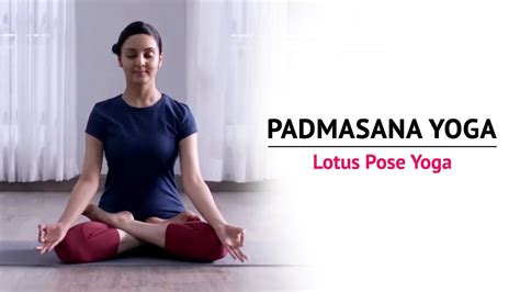 Padmasana Yoga | Lotus Pose Yoga | Steps | Benefits | Yogic Fitness - YouTube