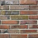 Brick wall — Stock Photo © claudiodivizia #3941336