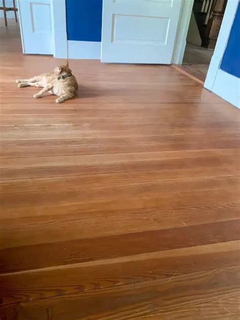 DIY Heart Pine Wood Floor Refinishing - Renee Renovates