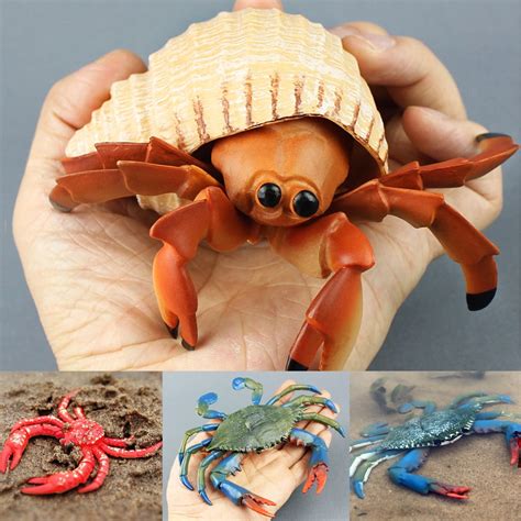 Travelwant Live Pet Hermit Crabs, Large Hermit Crab Shells, Encourages Growth and Well-Being of ...