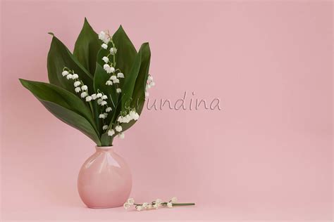 Bouquet of lily of the valley in a pink vase (614438) | Nature | Design ...