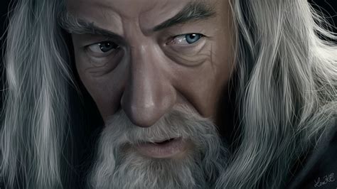 Gandalf digital wallpaper, Gandalf, The Lord of the Rings, artwork, face HD wallpaper ...