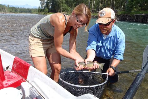 Dry fly fishing the Elk River | Fernie, BC