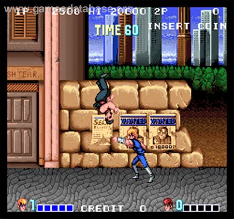 Double Dragon - Arcade - Artwork - In Game