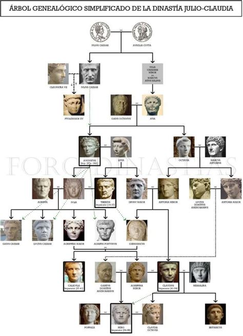 LA FAMILIA JULIO-CLAUDIA (simplificada) | Roma antigua, Roma, Historia de roma