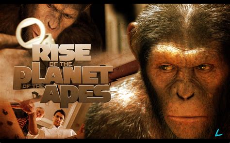 Rise of the Planet of the Apes movie wallpaper 12 Preview | 10wallpaper.com