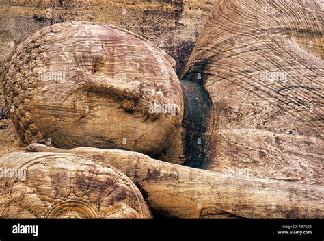 Buddha Statue Parinirvana Sri Lanka Stock Photo - Alamy