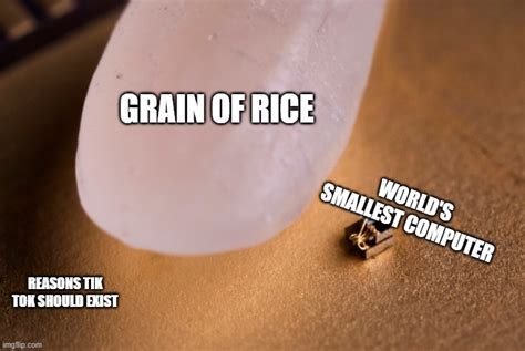 Grain Of Rice - Imgflip