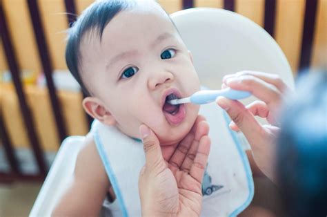 When to Start Brushing Baby Teeth | Guide | Truly Mama 2024