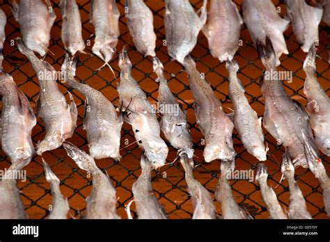 dry fish 3 Stock Photo - Alamy