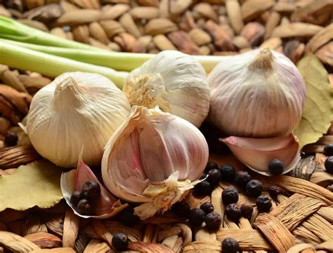 How to Grow Garlic in Containers - Grow Food At Home