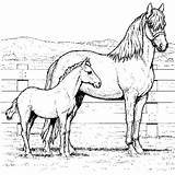 Free Printable Horse Coloring Pages For Kids sketch template