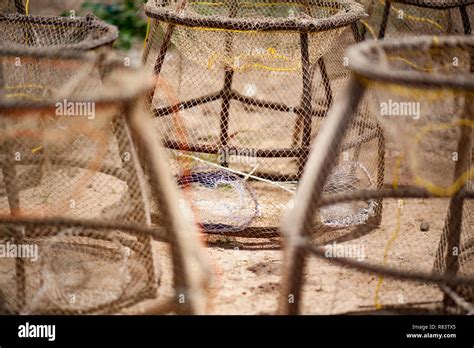 Mali,Africa - Empty fish baskets in the Niger area placed on the ground Stock Photo - Alamy