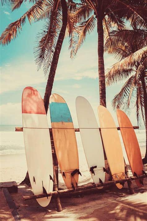 Surfboards Aesthetic | ubicaciondepersonas.cdmx.gob.mx